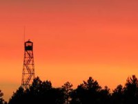 watching from the fire tower